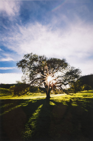 Sutter Buttes Calendar Picture