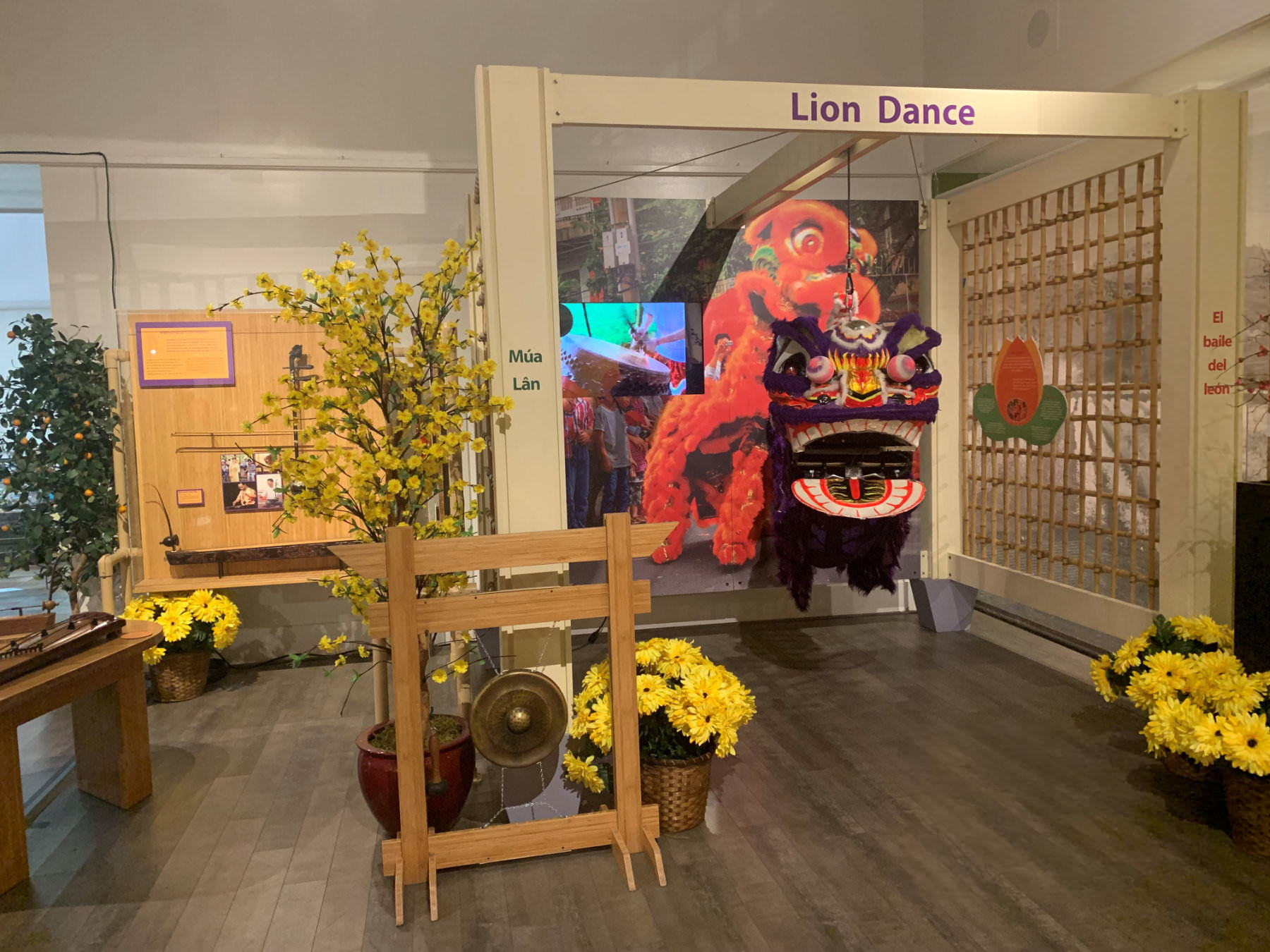 Musical-Instruments-and-Lion-Dance-2